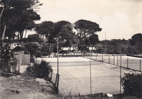 Lido dei pini campeggio - ,