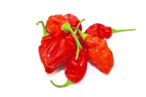 Semi peperoncino - di,