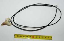 Collana pendente dente - pendente, di