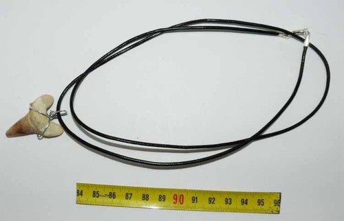 Collana pendente dente - collana,
