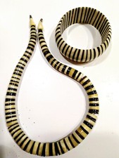 Collana e bracciale, parure