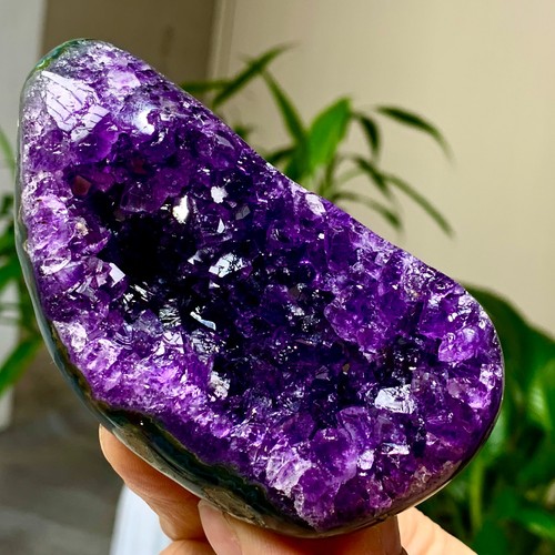 298g ametista naturale geode - ametista,