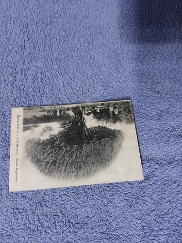 Cartolina palestrina 1909 - cartolina,