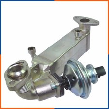 Radiatore EGR per BMW |