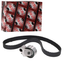 KIT CINGHIA DENTATA ASHIKA