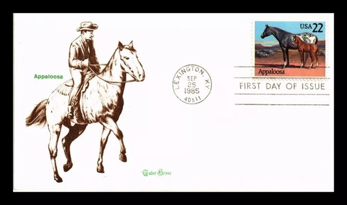 Appaloosa horse american - -,