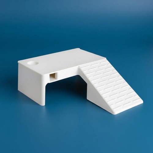 Piattaforma per tartarughe - piattaforma, con
