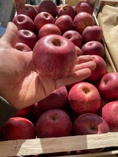 Mela Annurca Campana IGP Box