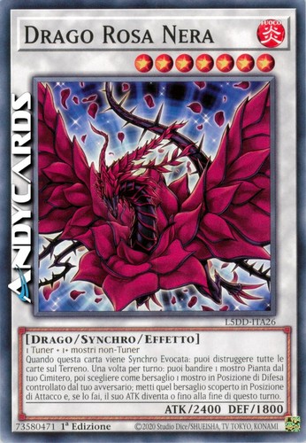 Drago rosa nera black - •, (black