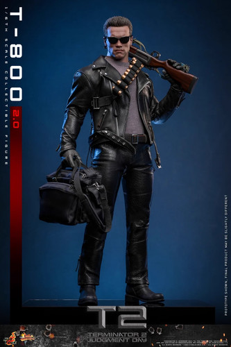 Hot toys mms795 - hot, terminator