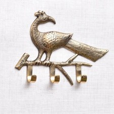 Antico Pavone su Un Ramo