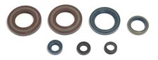 Engine oil seals kit /