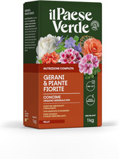 Gerani piante fiorite - e,