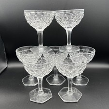 Fosteria American Clear