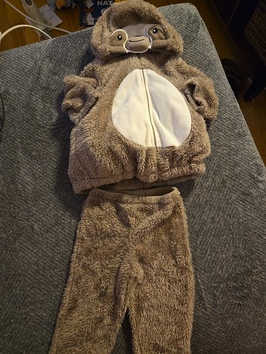 Costume bradipo neonato 9 - costume,