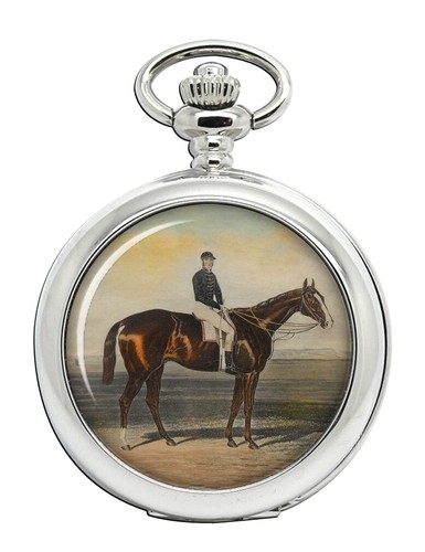 Cavallo corsa meteor - cavallo,
