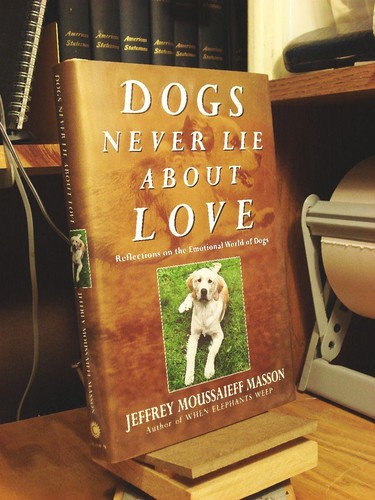 Dogs never lie - lie, love