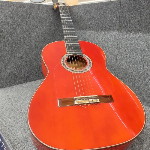 Chitarra elettrica acustica