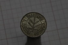 🧭 🇵🇸 PALESTINA 50