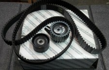 71754557 KIT CINGHIA