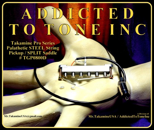 Takamine pro series - takamine,