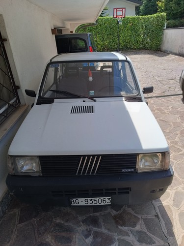 Panda 750 young - panda,