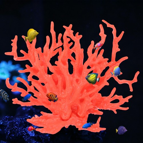 Confezione decorazione pesce - confezione,
