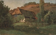 Spitz C. n.3 Foresta Nera 