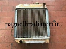 30/920300 RADIATORE RAME MINI