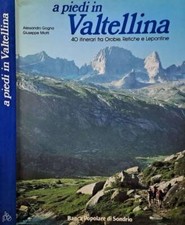 A piedi in Valtellina. 40