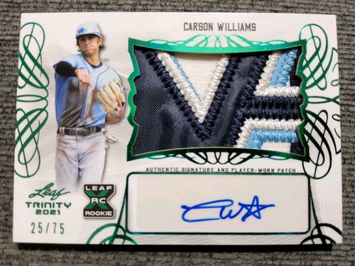Patch auto 2021 leaf trinity - patch,