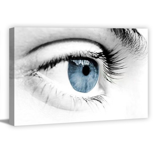 Quadro tela 120x80cm - tela,