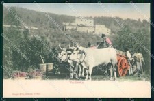 Firenze Costumi Vendemmia Stengel 12955 cartolina RT2113