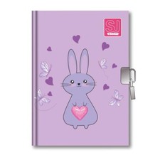 DIARIO SEGRETO con lucchetto