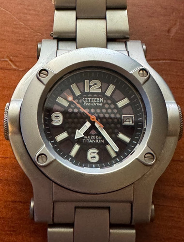 Raro citizen promaster - promaster, eco