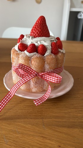 Torta finta - torta,