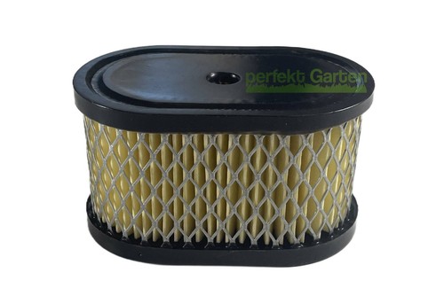 Filtro aria per motore - , briggs