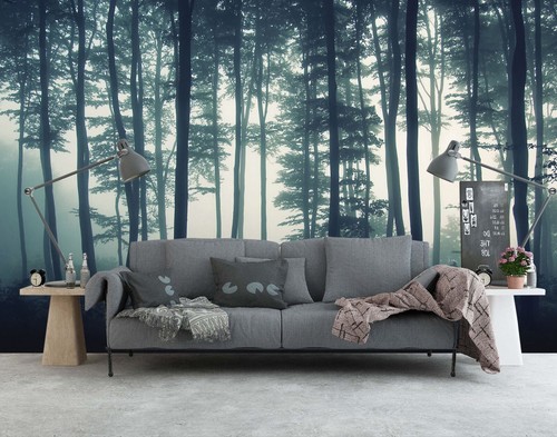 Nebel wald q6516 tapete - wald,