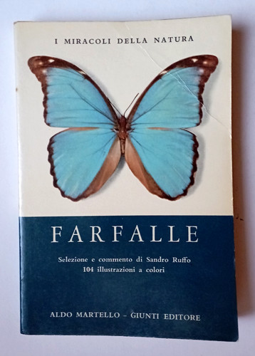 Farfalle sandro ruffo ediz - farfalle,,