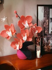 Orchidea uncinetto - orchidea,