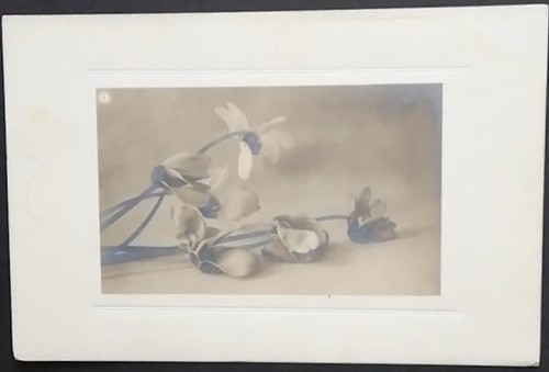 Lotto cartoline antiche - cartoline,