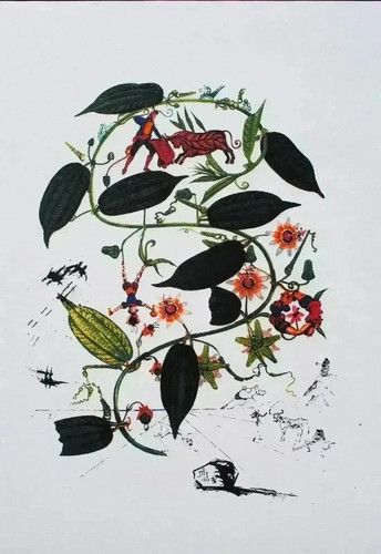 Salvador dali passiflora - salvador,