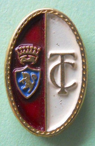 Distintivo spilla pin badge - distintivo,