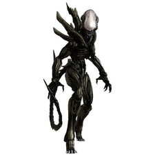 HiPlay 52TOYS 1/12 Modellino