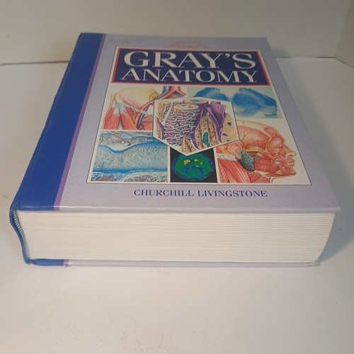 Gray anatomy the anatomical - anatomy:,