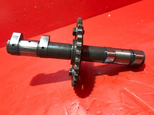 Laverda 750 ingresso - ingresso, albero
