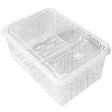  Tartaruga domestica Tartaruga