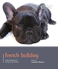 French Bulldog: Dog Expert By
