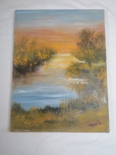 Quadro tela olio 40x30 - olio,