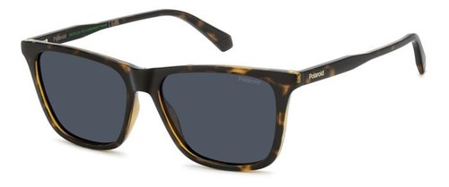 Occhiali sole polaroid - sole,